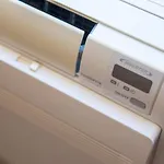 Pupica *